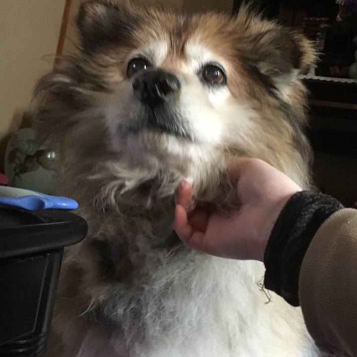 B85a2e5e a1ca 45fb b756 4581857d0e59 1597700073957