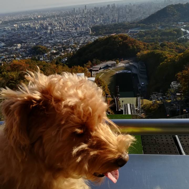 B85a6b29 fdad 4329 85b5 b7a5d845adc6 1540112290090