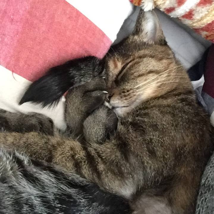 B85a8af1 9e6b 42e5 b2db 283ef00387dc 1520304744320