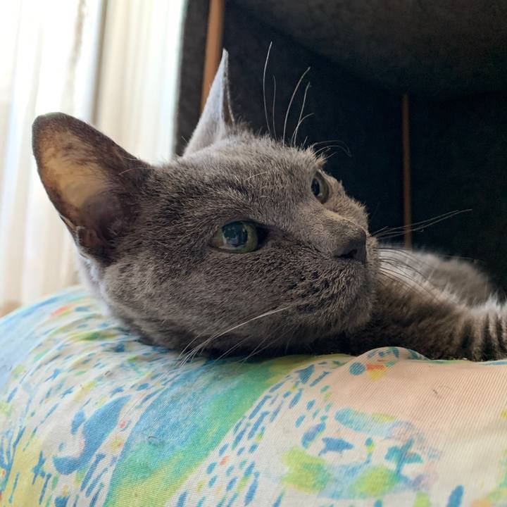 B85a91f5 39a9 4d55 a656 f70a75120a82 1688596851806