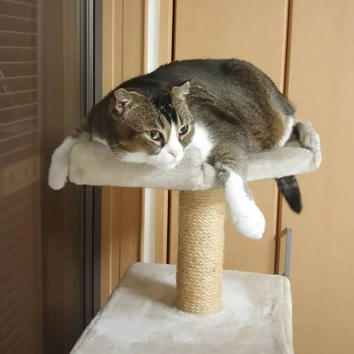 B85aa1f0 22bf 41a9 8783 72858627dabe 1532340152907