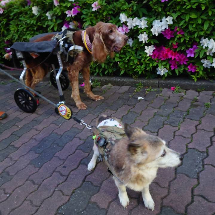 B85acf87 082e 4db7 a524 1df628839631 1745551458454