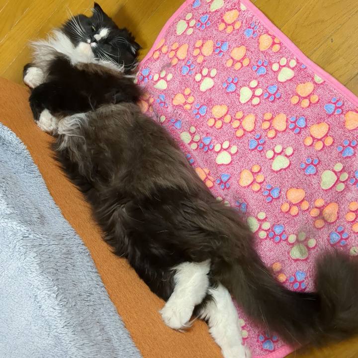 B85adf11 02c7 411e a3d7 8214250895c3 1672401268181