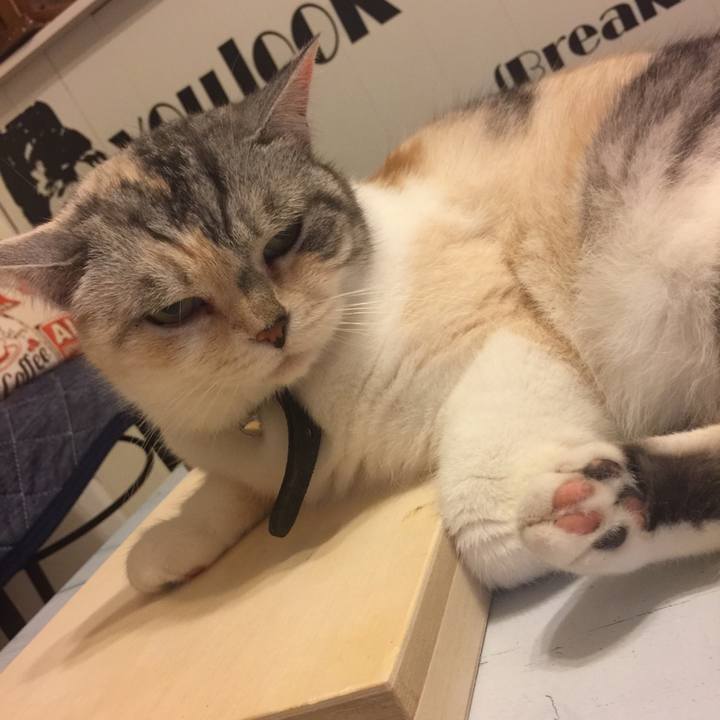 B85aec56 1865 4c10 b711 c5053a353891 1561804434803