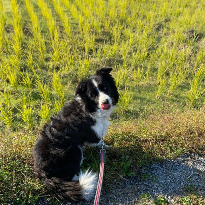 B85aeef4 42b2 4979 b3e7 ad84438f37ae 1637282559319