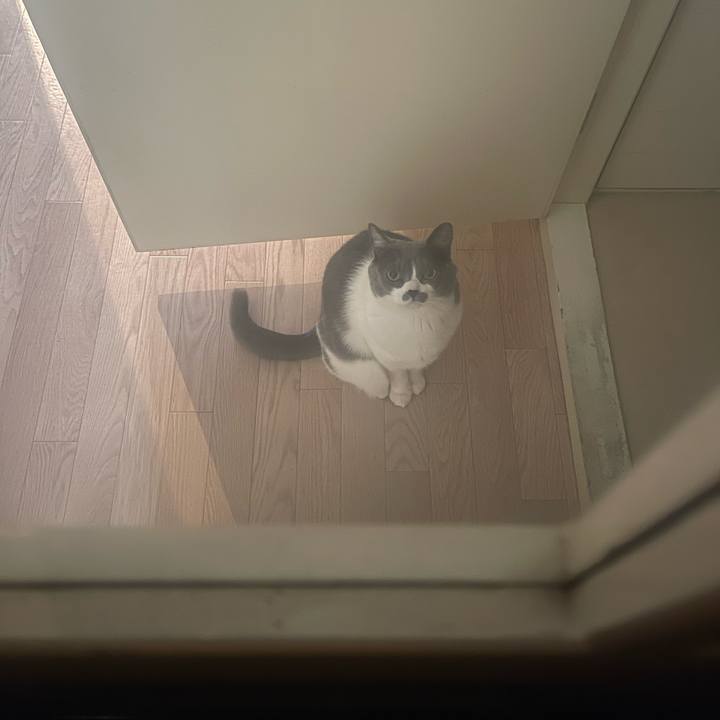 B85b5d9c e72d 44ff b79e 0760d8497c7e 1739512213469