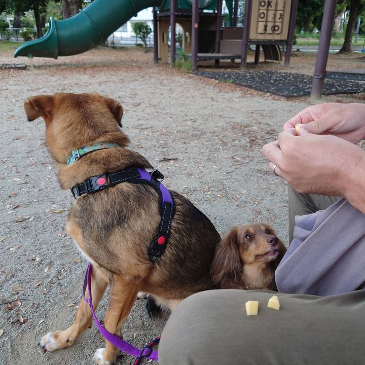 B85b8597 ec2f 471f 8944 93eea687b03e 1695952376454