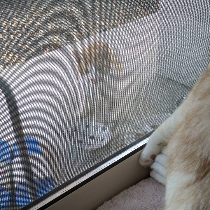 B85b8919 696d 4672 b56e ef060e2dd98e 1697014835879