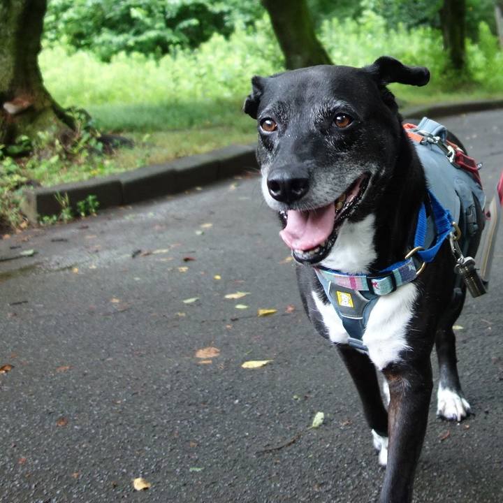 B85b9c1e 44a8 457b 9424 9091fa768057 1752534776859