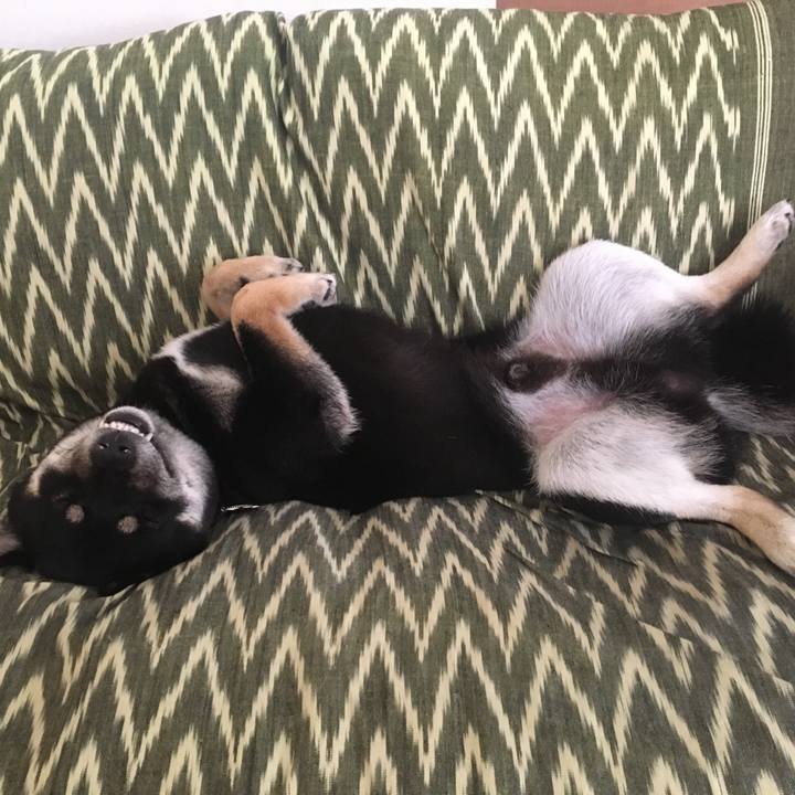 B85beed0 78f0 4e22 b963 9a822566721f 1524148631024