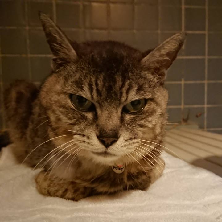 B85c4904 662a 46e2 8a8a e1cbeb838606 1595758767629