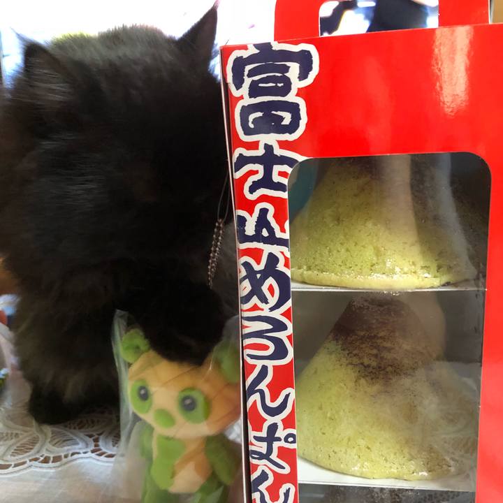 B85c494d 6eb8 4f01 bcf3 9efc85fa3c6e 1535254236972