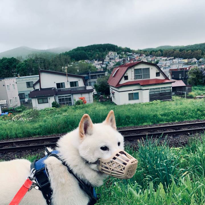 B85cb3b3 af5d 4f0c 950e a3096d288f3d 1622409066702