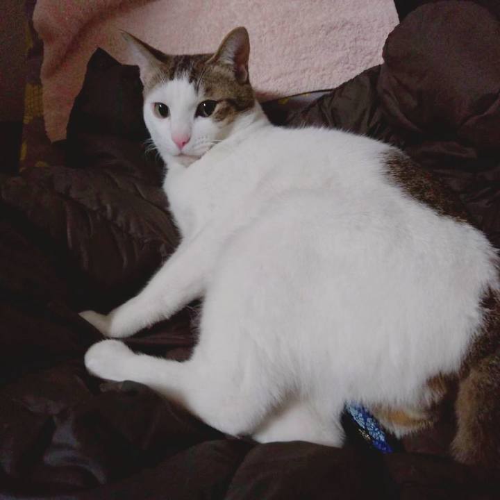 B85cbce3 f1d2 4c44 8544 71b7ab65816b 1676894366115