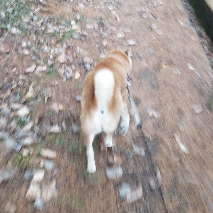 B85cc10c 29f5 41dd b0d6 4f97b7d6865a 1700723790154