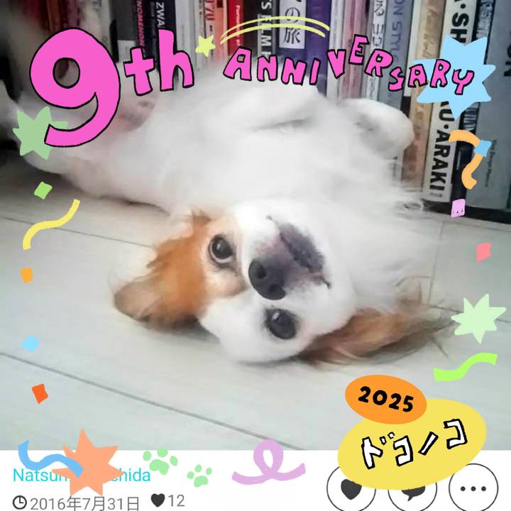 B85cc9f8 8e4c 439d ac22 b04a4b240e2e 1749352867227