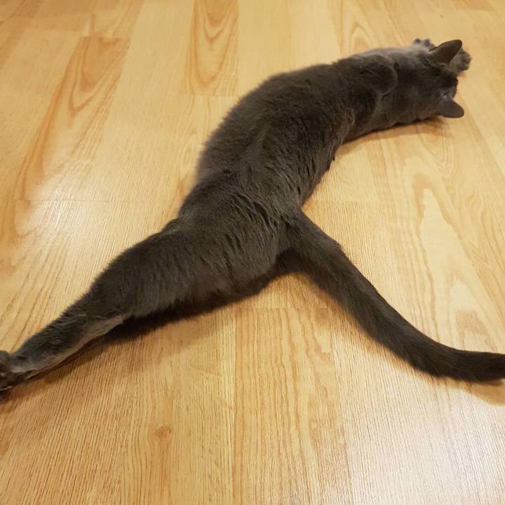 B85cd4d4 efdd 4169 b6b5 97e12304e030 1576289525318