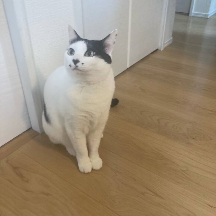 B85cdd93 24cb 4f97 88d1 945094f30881 1769547255490