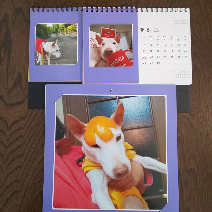 B85d1211 bbc7 4118 91fa 0b3c2be79f3e 1591028164754