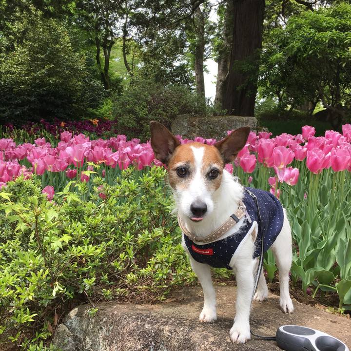 B85d1641 54a3 42b9 8802 123b14654986 1557302861222