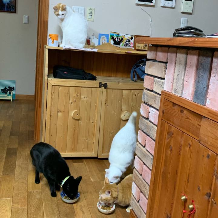 B85d1d1e c914 46d8 b2e8 5e8c7b62ddd9 1555765230749