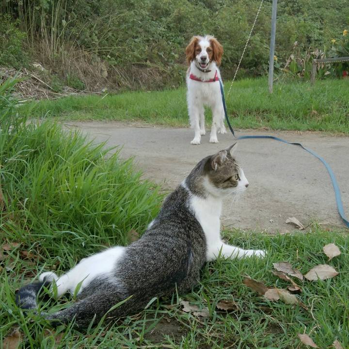 B85d5e60 1f37 4719 9c21 75c004dfa9e9 1535458846451