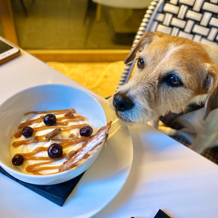 B85d6923 368b 4ab1 a1eb 16009c417872 1699938849717