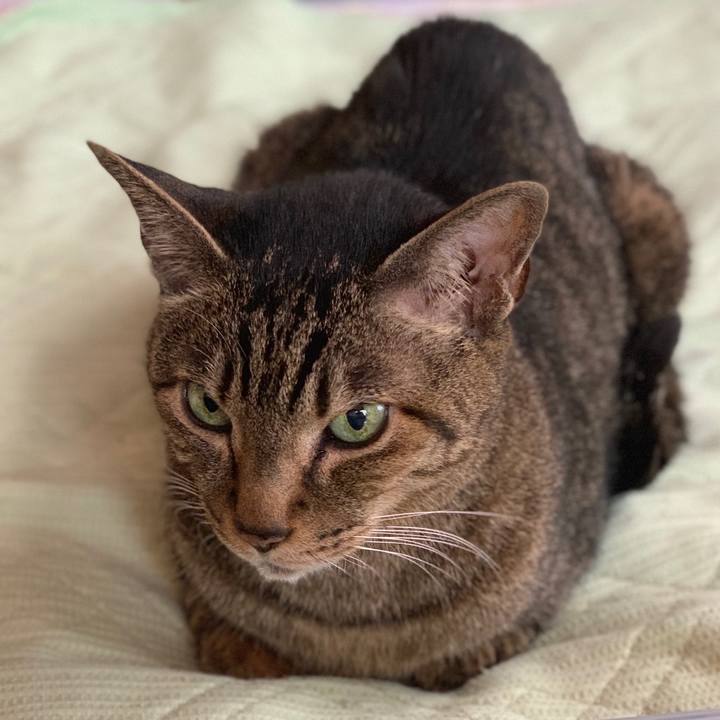 B85d69b5 0bf4 4e19 b75a 27fd2578098a 1556758042595