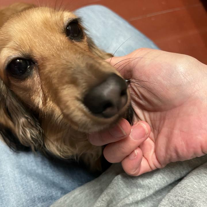 B85d7208 3b59 4f32 ba11 5a8dda2ab315 1658049470864