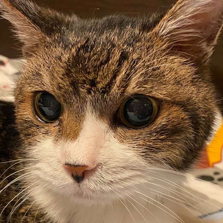 B85df75d 237d 4421 acb4 3a6564f4e2b4 1628292807084