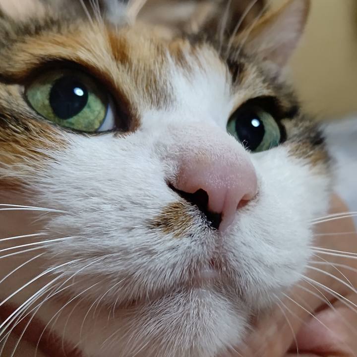 B85dfe5e 2882 4f28 b9f8 3d685592987a 1621829959688