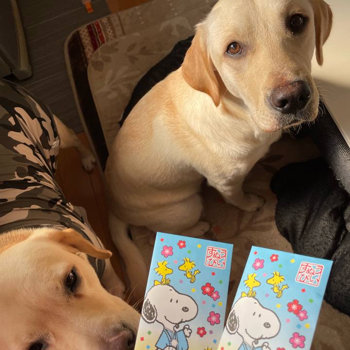 B85e0ab0 8bac 4d16 89e0 0fa8e07c840b 1641267593801