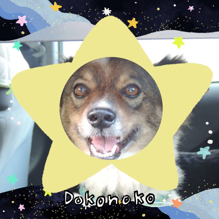 B85e25c2 a589 493f ae1c 86ccaff09697 1721018166974