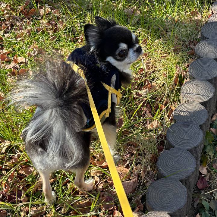 B85e5557 ac58 40c7 a15f 935926c99a7b 1736092236724