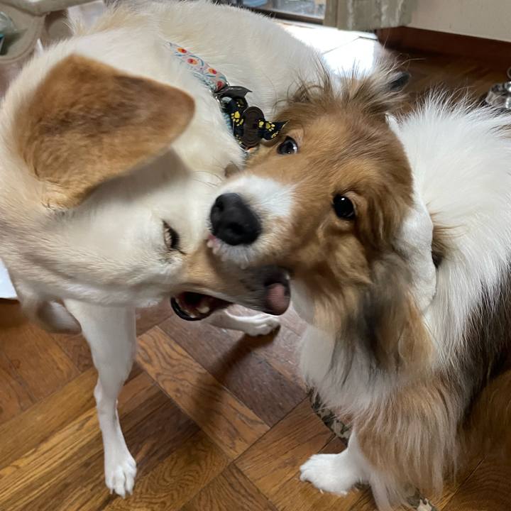 B85eb4fa d73d 4a29 9c1a 559d12e8b9aa 1672215760425