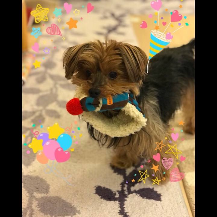 B85eea4a deaa 4a92 977a 44dd36711299 1514682825600