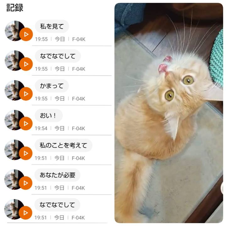 B85f04f9 d6f3 4dc0 bcbf baccc40ad3d9 1633610693294