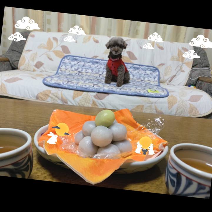 B85f0d25 88ab 4f6c 89d9 c6121ce567e6 1632220990559