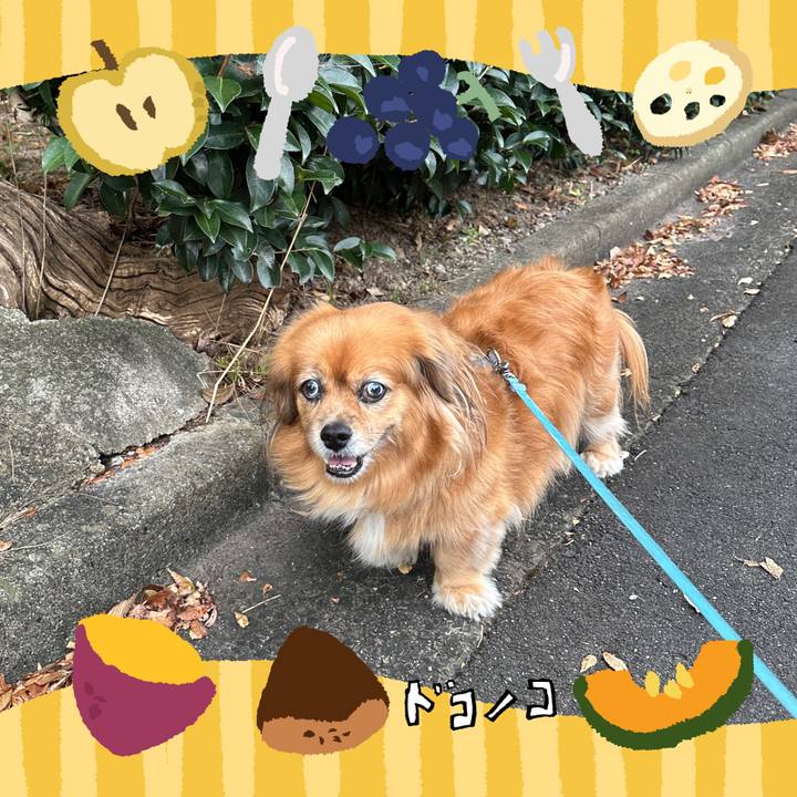 B85f0de3 329c 427e 8e0d d1a21c375d73 1727215822088