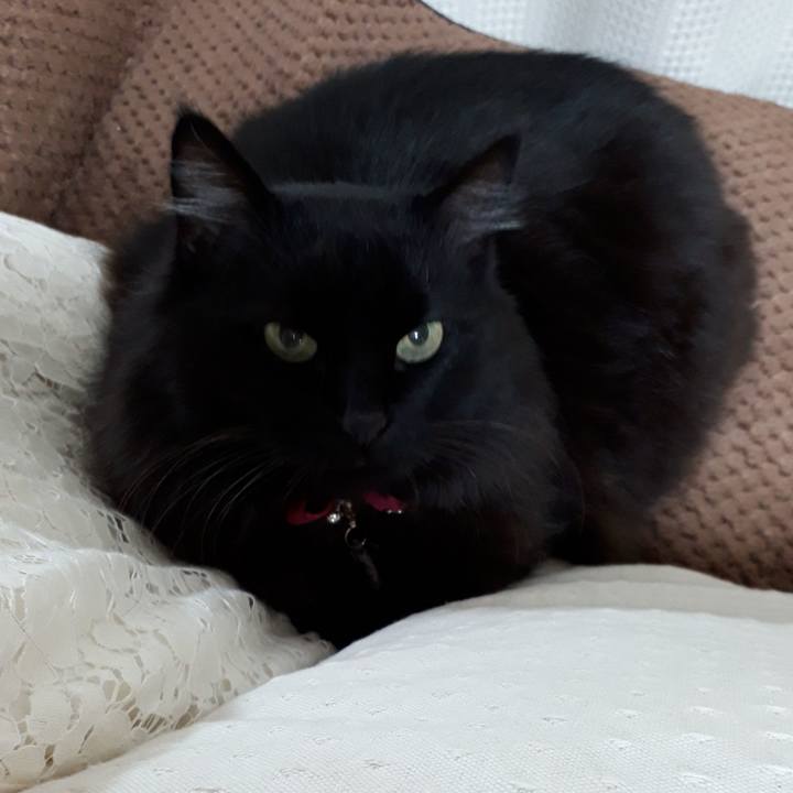 B85f1a01 4da3 4417 91df 71b0d5f25eb2 1518382657958