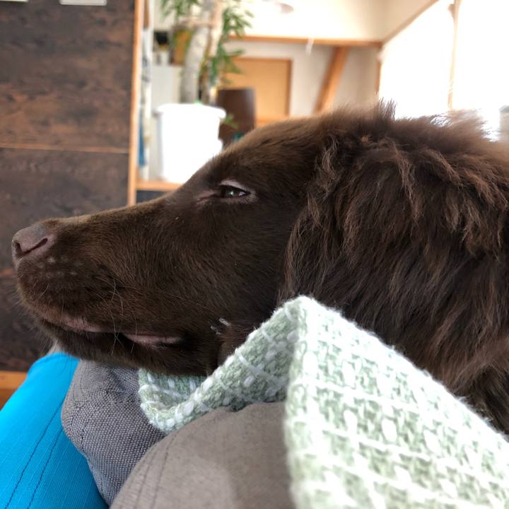 B85f2320 1db3 4678 bfa0 2b058cc4a196 1555282446621