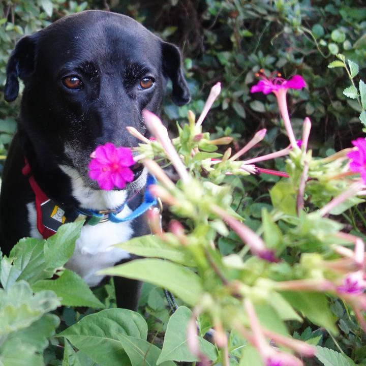 B85f6889 0192 4060 86ba 2a100d6e7845 1693010199892