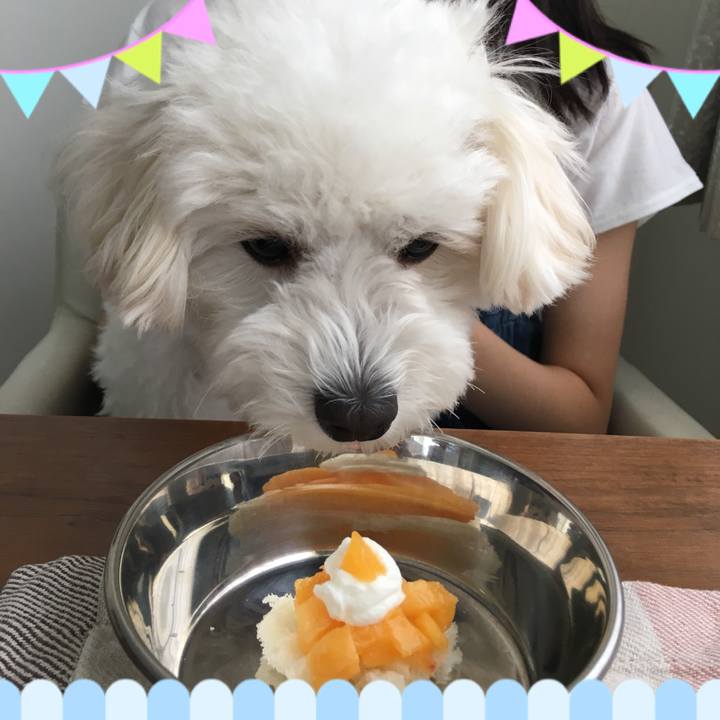 B85f7cad c0e3 4897 912f 14948567a652 1532523083498