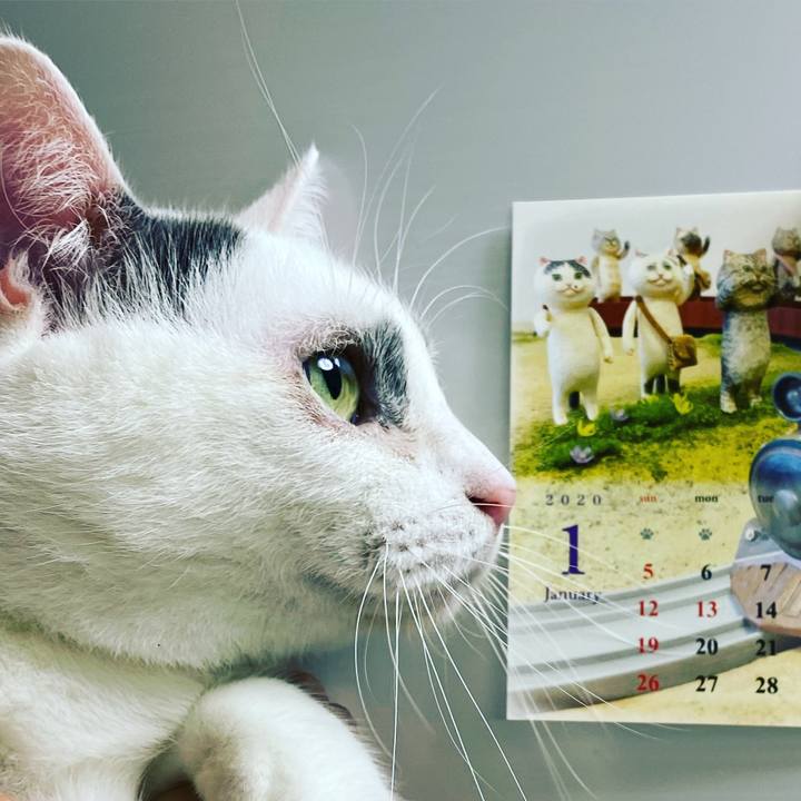 B85fa7db 14c5 4cb5 807c 09251e02d102 1580024509636