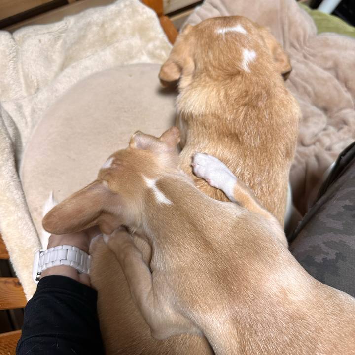 B85fc6b7 d5e3 407e 99fc 298a969da094 1669638059521