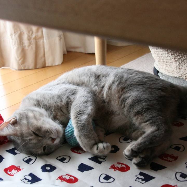 B85fd26d 9ab5 468a 9c3c a8d54aa73814 1532859845947