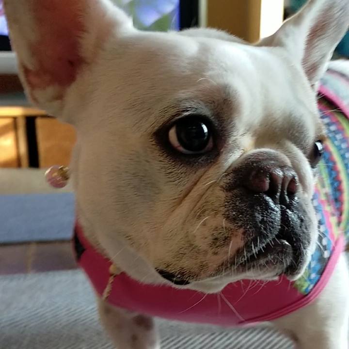 B85fe11c 91ed 4078 aa76 66f86db252d9 1666474584764