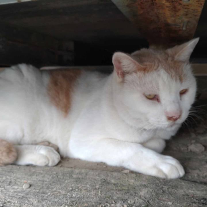 B85fefd5 93e6 4caa 9b7b b512a4121edd 1727672747141