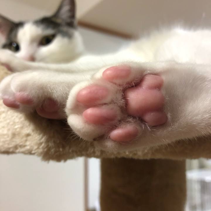 B860092e ff83 4656 817b 88e3ecd824fe 1593436401877