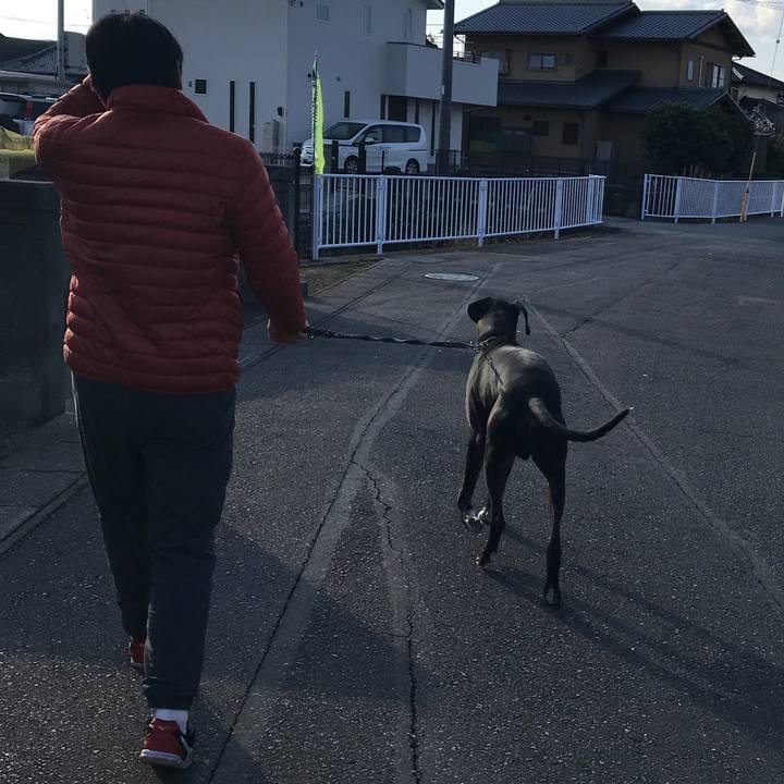 B86009e3 5160 4140 80f0 ab6170997f76 1521847223695